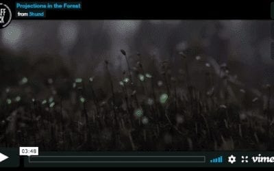 Enchanted Bioluminescent Forest