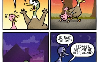 Relatable Duck – Natures Wonders