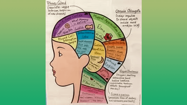 Funny Toddler Brain Comic