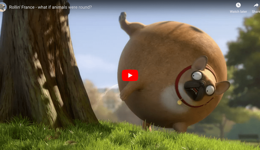 What If All Animals Were Round