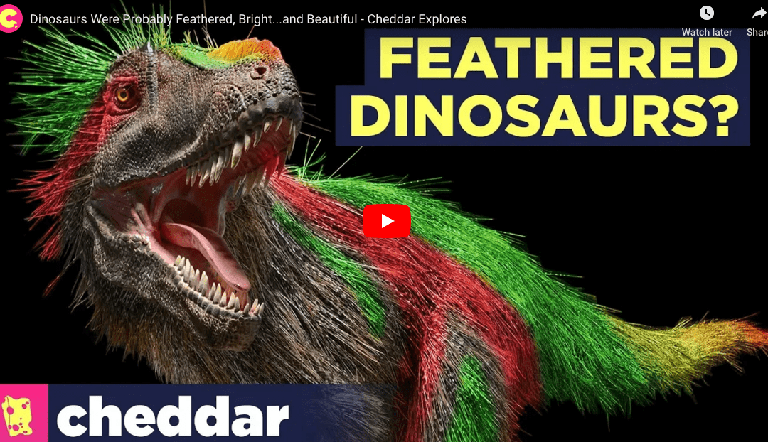 Were Dinosaurs Bright And Feathered