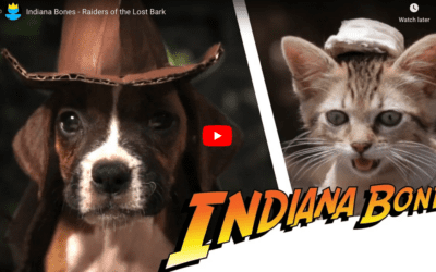 Zach King Indiana Bones