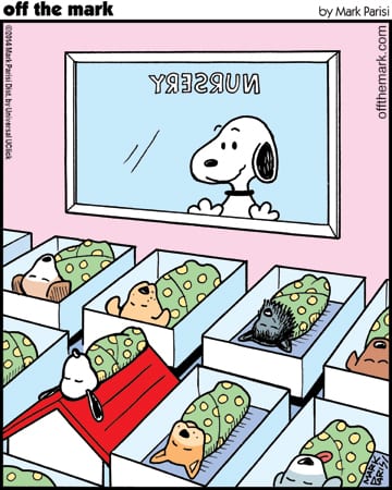 Comic Feature – Mark Parisi