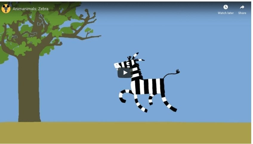 Zebra Earns It’s Stripes