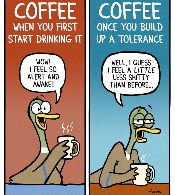 Relatable Duck On Coffee