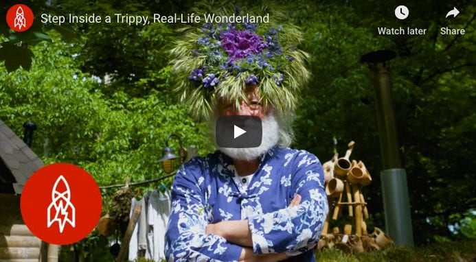 Real Life Wonderland