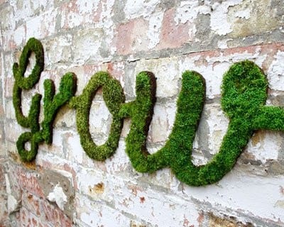 How To Make Moss Graffiti