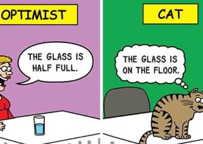 a funny cat comic about the glass of water theory