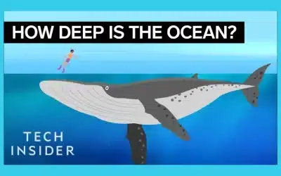 How Deep is The Ocean?