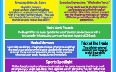 Rainbow of Knowledge #14