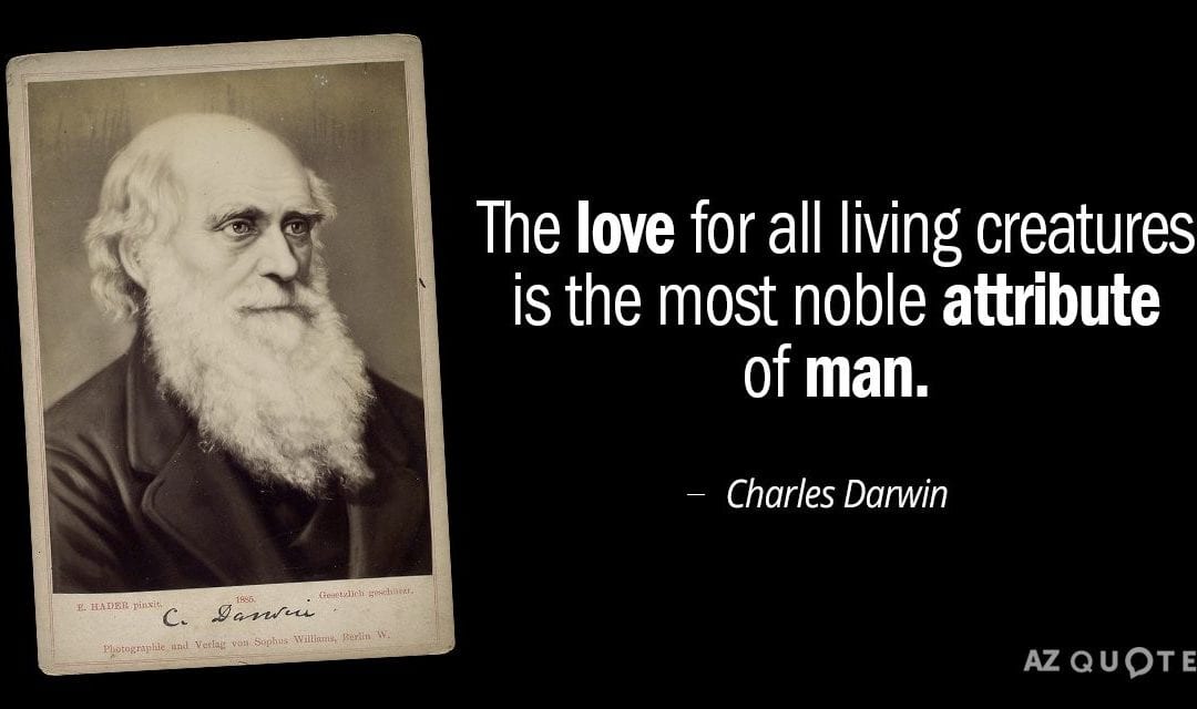 Charles Darwin – Words Of Wisdom