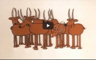Schoolhouse Rock:  Four-Legged Zoo