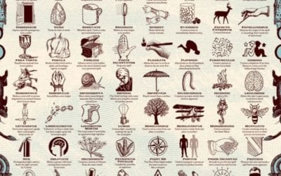 Harry Potter Magic Spells
