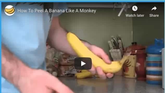 How Monkeys Peel Bananas