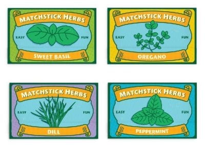 Spark your little one's green thumb with these tiny innovative matchstick gardens! A little soil, seed, and nurture!