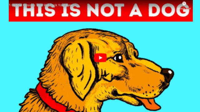 Cool Optical Illusions