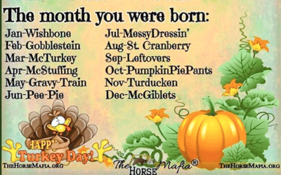 Thanksgiving Name Generator 🦃