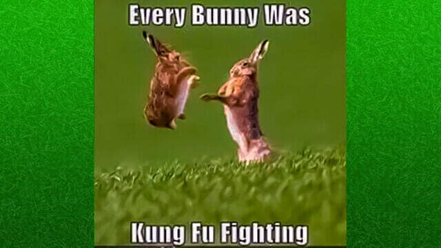 Collection Of Funny Spring Memes