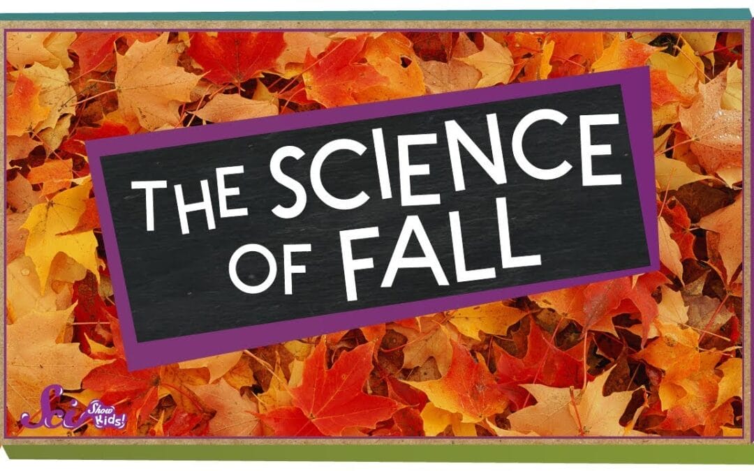 The Science of Fall