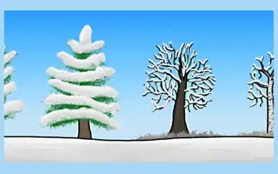 How Do Trees Survive The Winter?