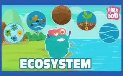 What Is An Ecosystem?