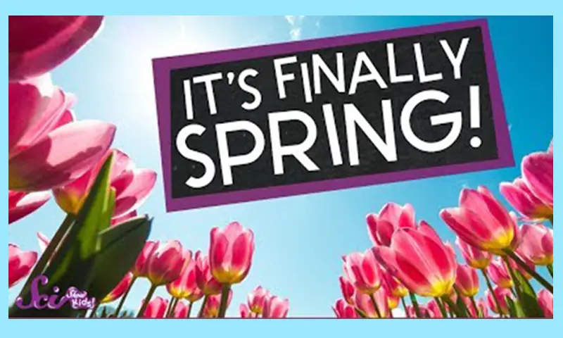 The Science Of Spring