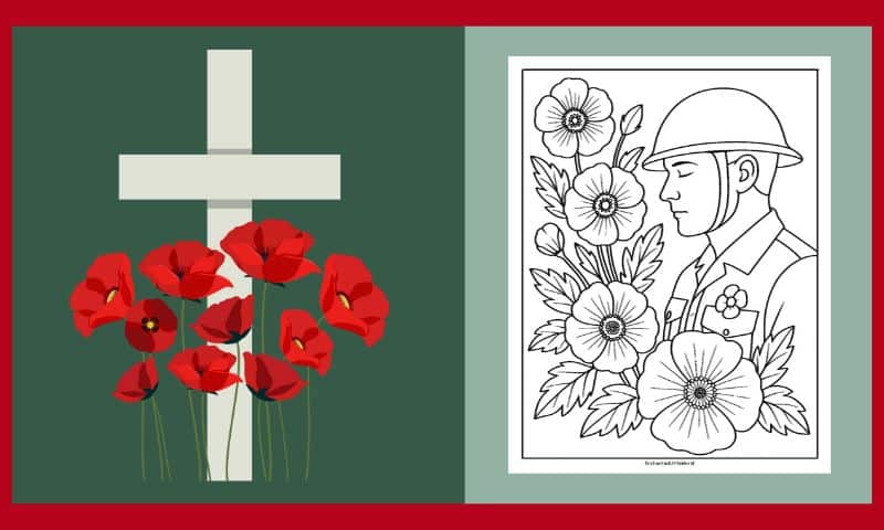 Free Printable Poppy Day Colouring #5