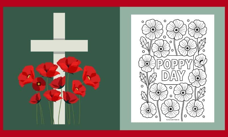 Free Printable Poppy Day Colouring #8