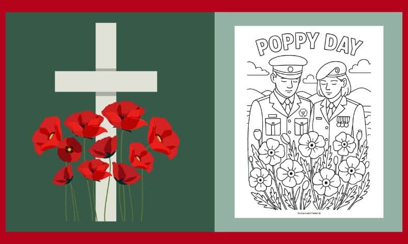 Free Printable Poppy Day Colouring #3