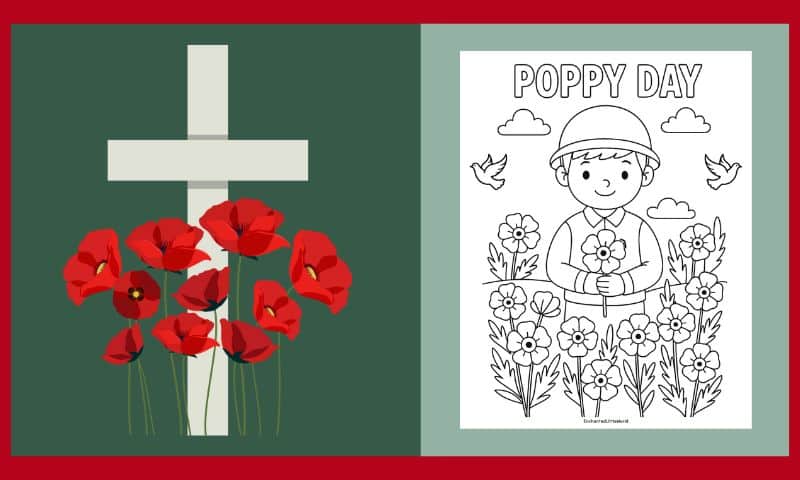Free Printable Poppy Day Colouring #4
